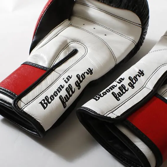 Rizin Sparring Gloves