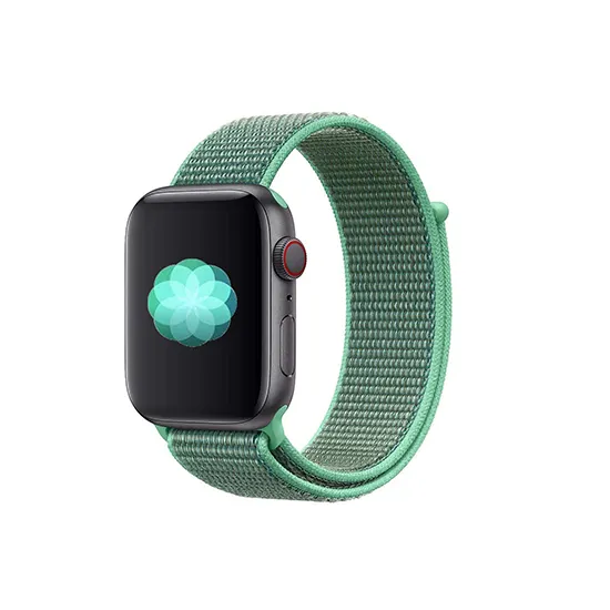 Woven Nylon Strap For Apple Watch-Reflective Black (42/44/45/49mm)